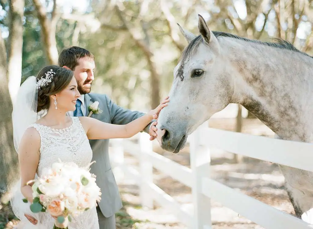 DanielleDerekWeddingFilm